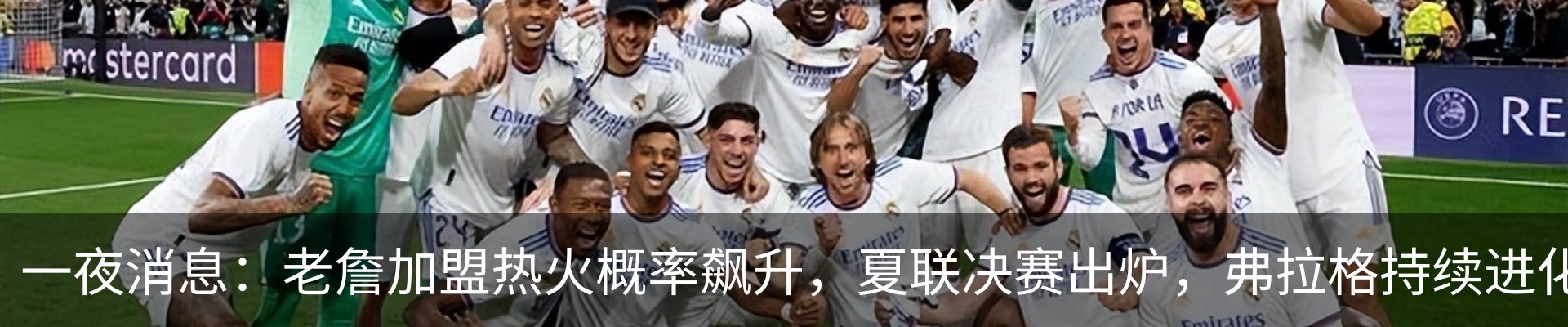 新闻动态