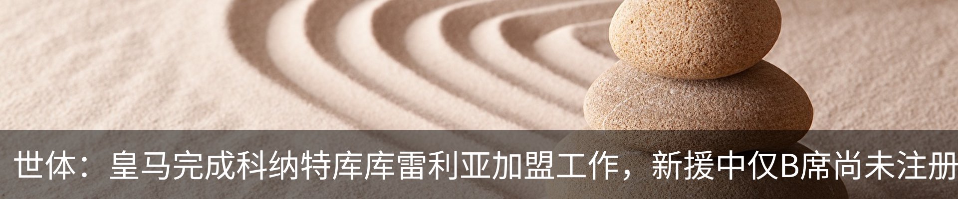 新闻动态