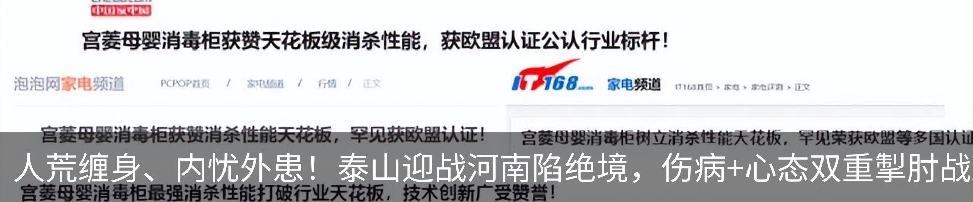 新闻动态