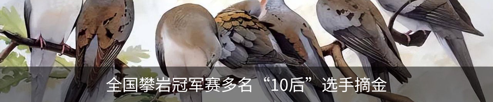 新闻动态