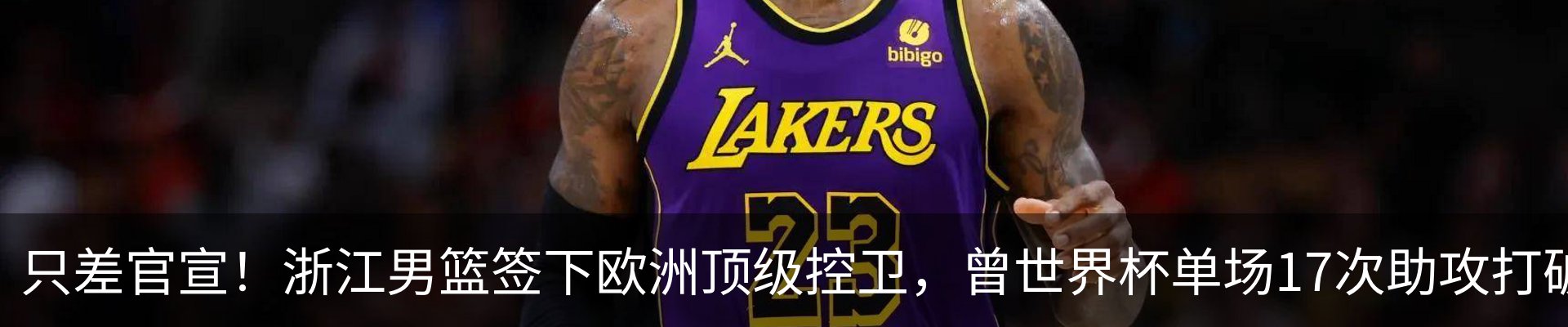 新闻动态