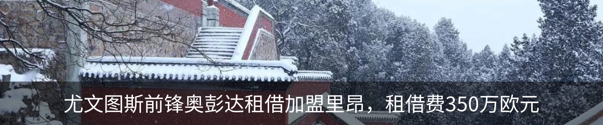 新闻动态