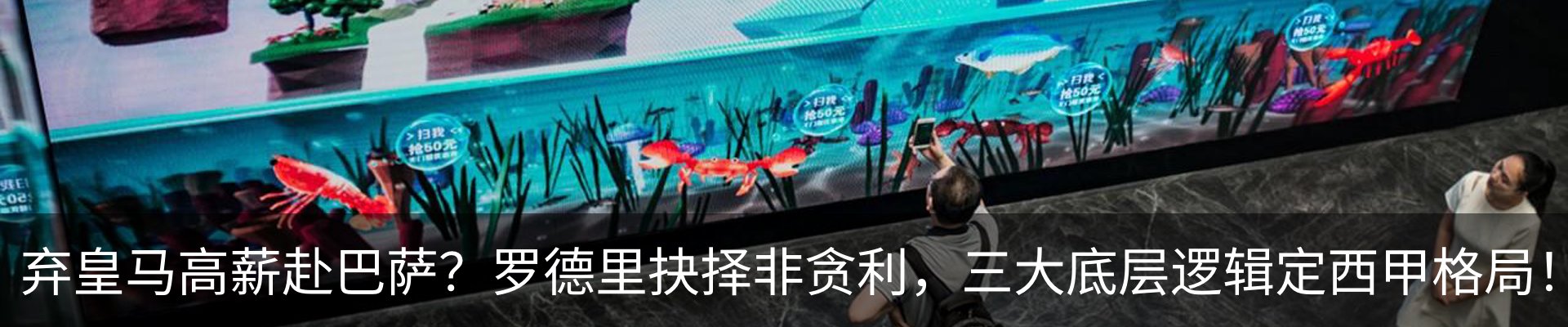 新闻动态