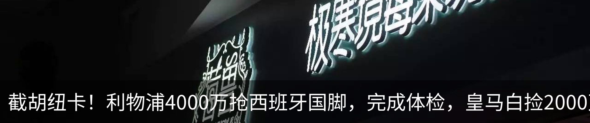 新闻动态