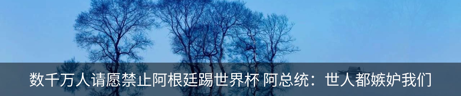 新闻动态