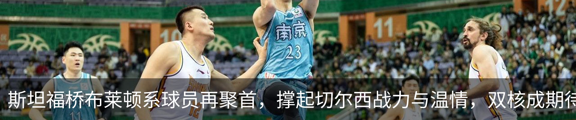 新闻动态