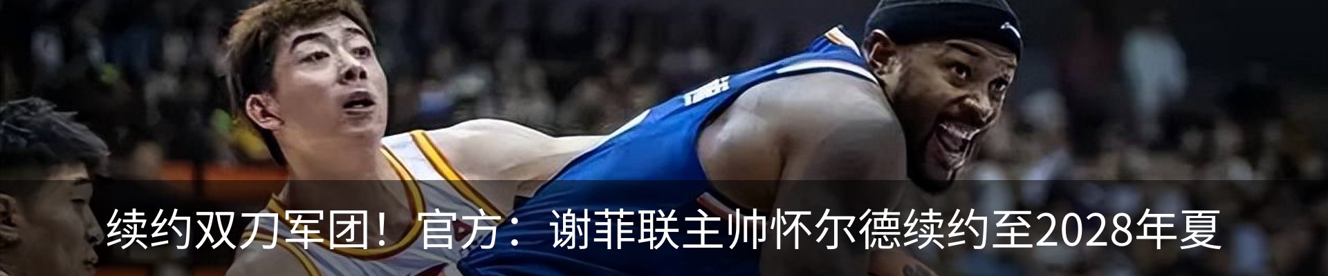新闻动态