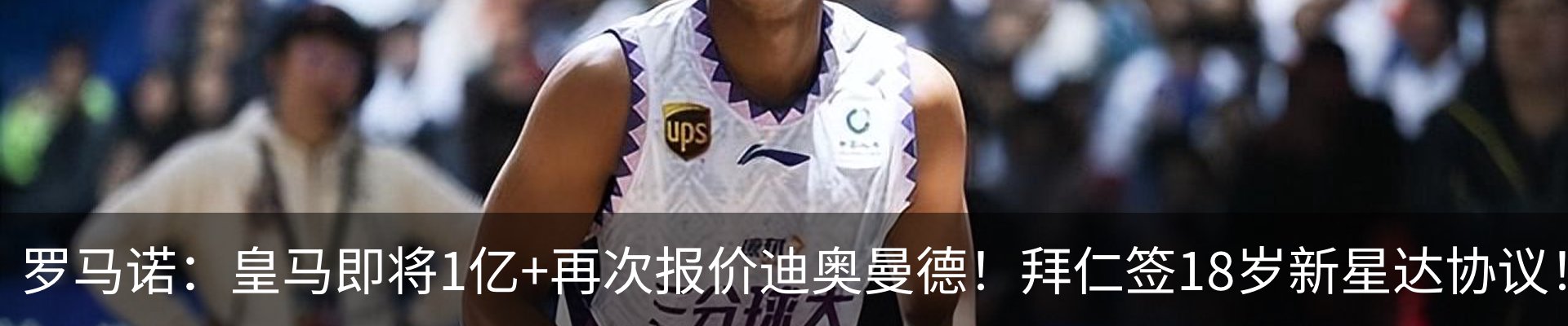 新闻动态