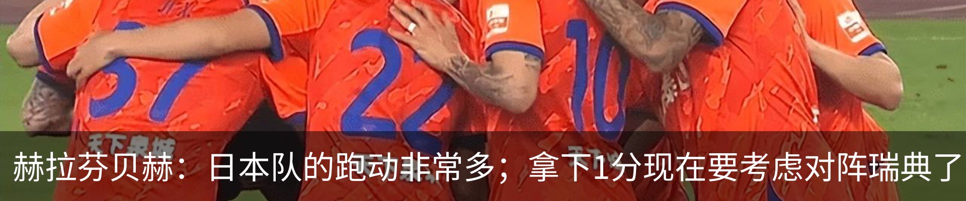 新闻动态