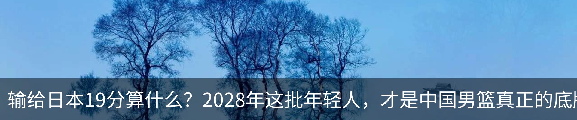 新闻动态