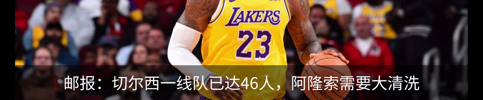新闻动态