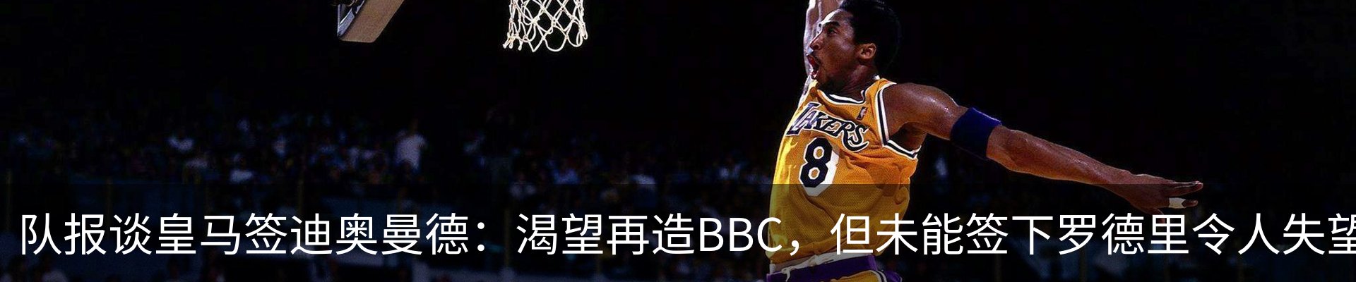 新闻动态