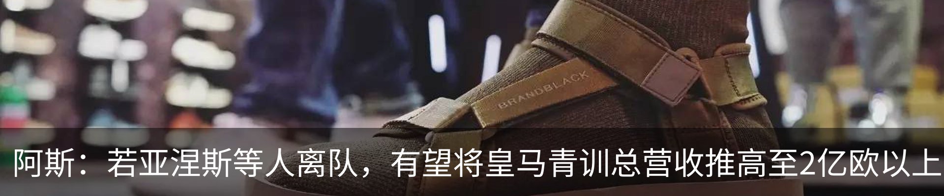 新闻动态