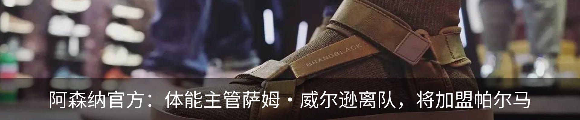 新闻动态