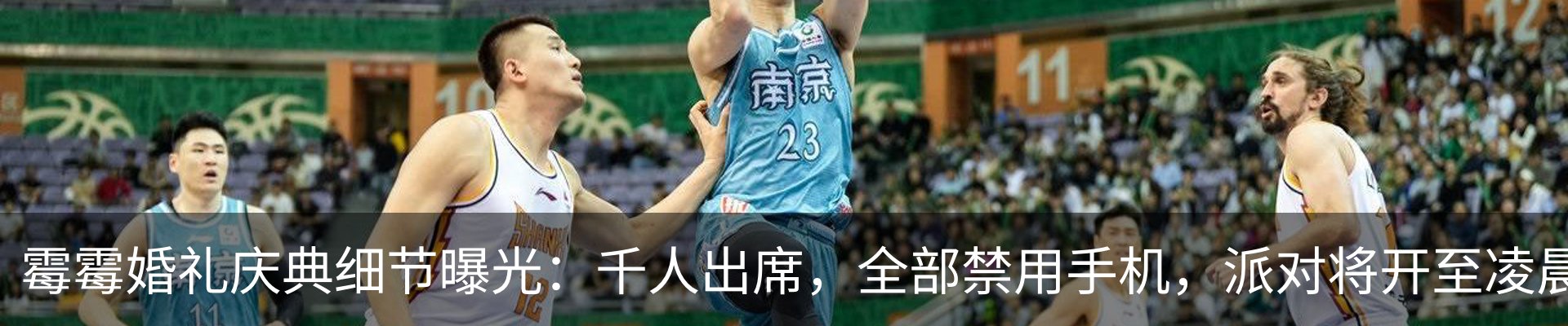 新闻动态