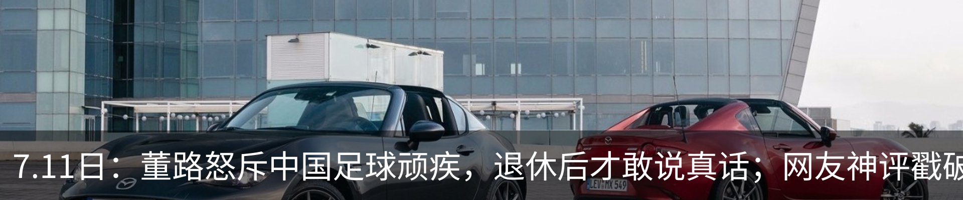 新闻动态