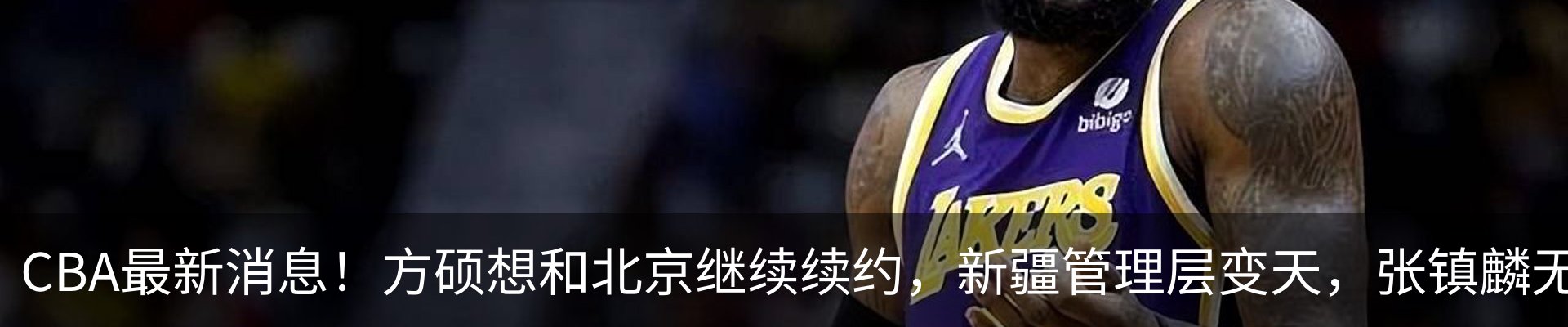 新闻动态
