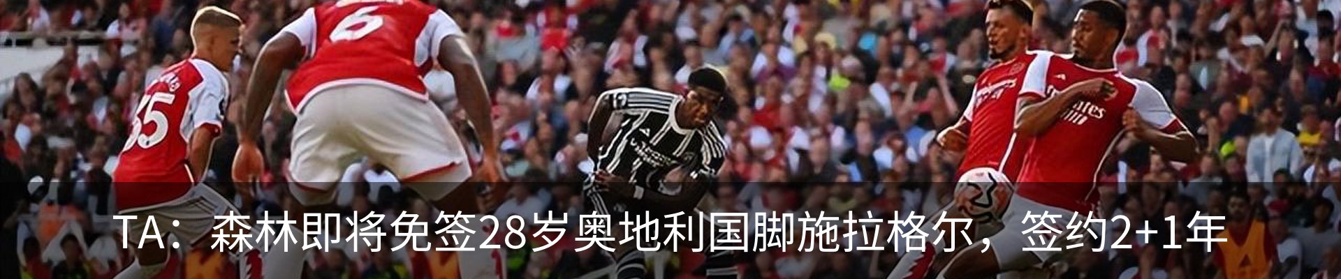 新闻动态